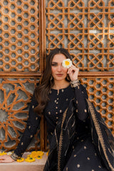 Embroidered lawn cotton  Black