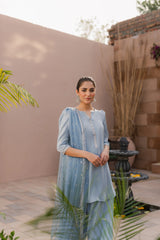 Embroidered Sheesha silk Light Blue